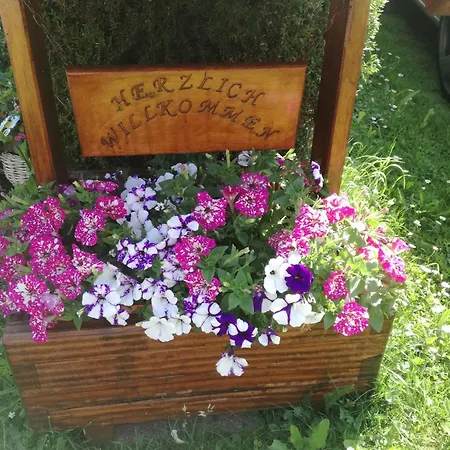 Haus Pfaff Vöhrenbach