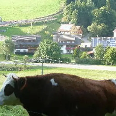 Haus Pfaff Hébergement de vacances Vöhrenbach